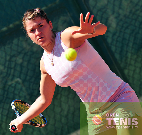 Dulgheru in semifinala de 220.000